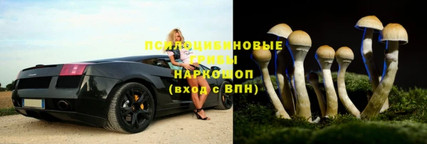 амф Абдулино