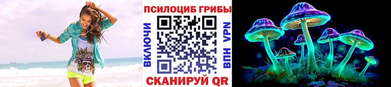 что такое Морозовск Псилоцибиновые грибы Cubensis